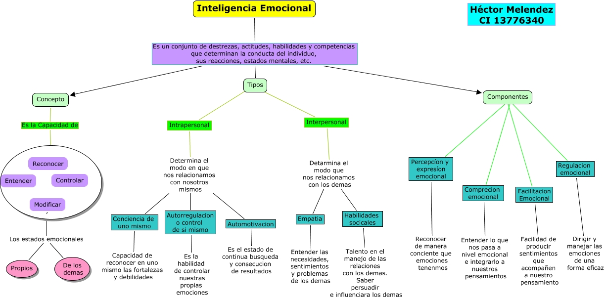 Mapa Mental 1 Inteligencia Emocional 5490